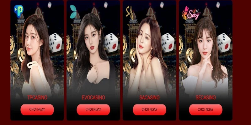 Cách chơi Casino luôn thắng từ các cao thủ